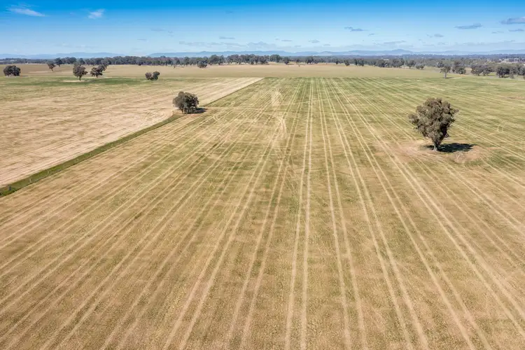 Sixth view of Homely rural property listing, CA18 Goomalibee Rd, Goomalibee VIC 3673