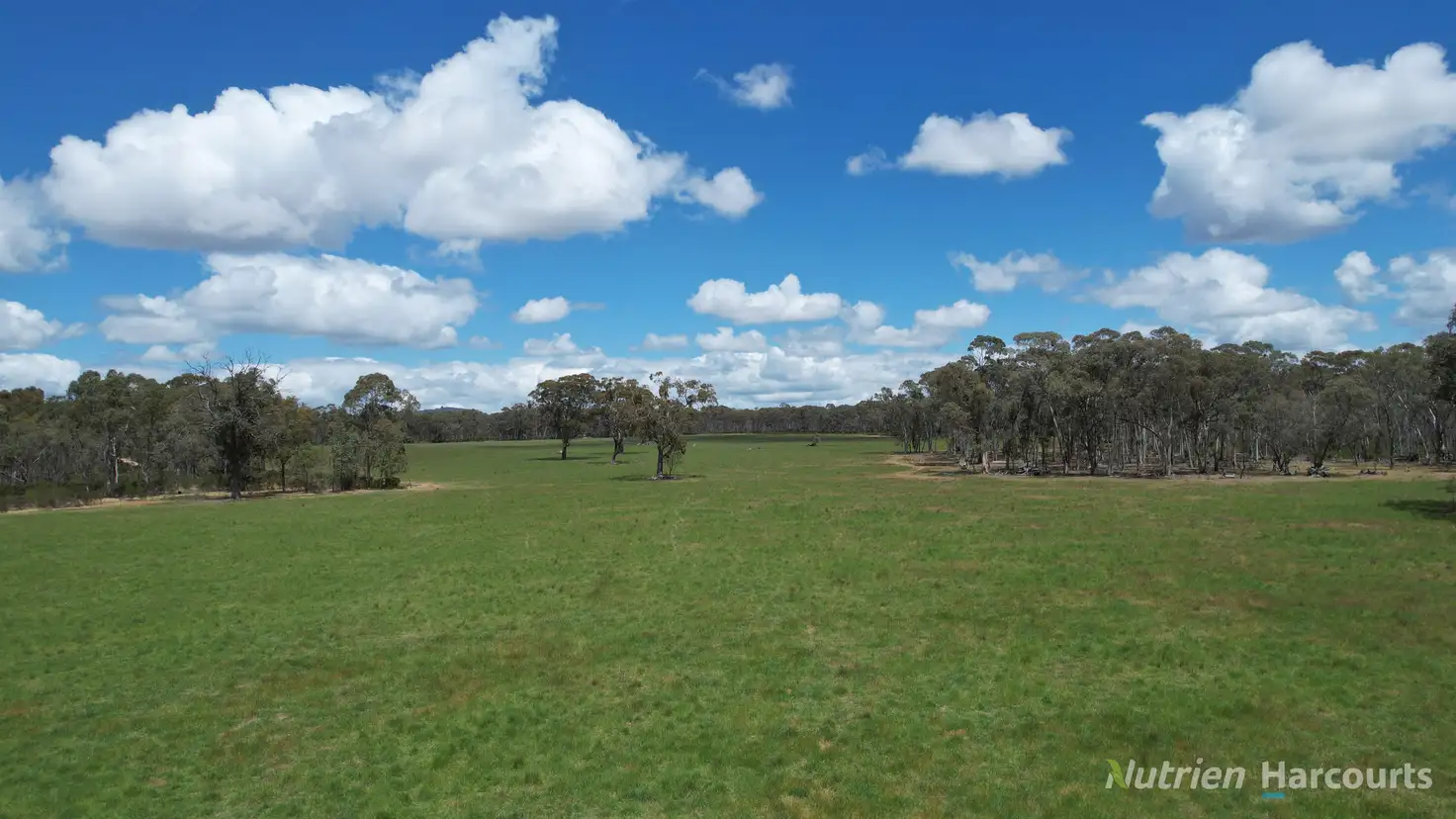 Main view of Homely rural property listing, 345 McDonalds Road, Clunes VIC 3370