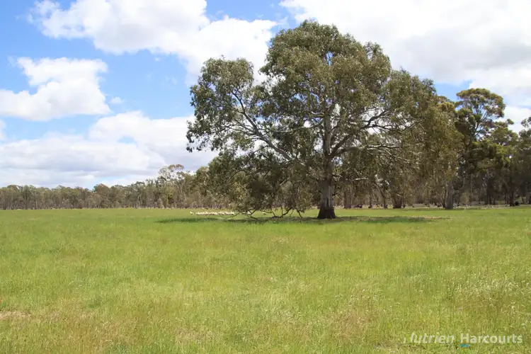 Third view of Homely rural property listing, 345 McDonalds Road, Clunes VIC 3370