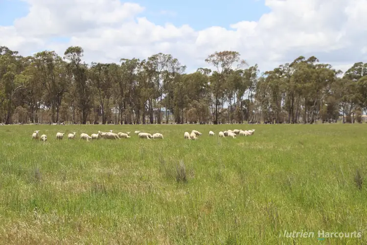 Fourth view of Homely rural property listing, 345 McDonalds Road, Clunes VIC 3370