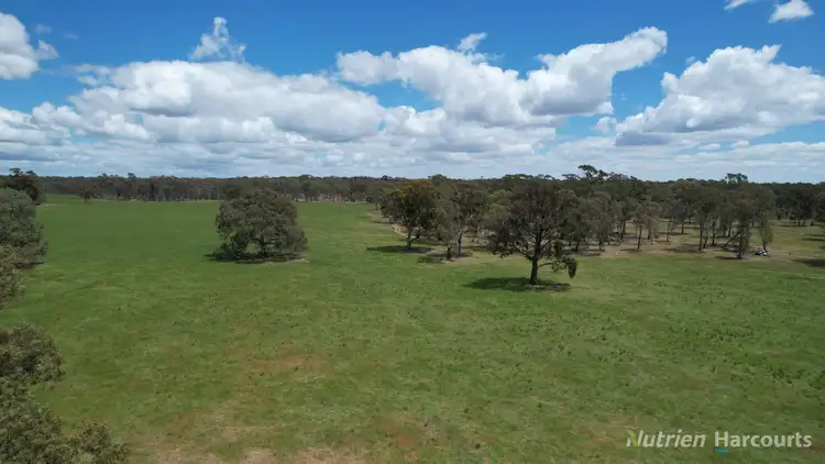 Fifth view of Homely rural property listing, 345 McDonalds Road, Clunes VIC 3370
