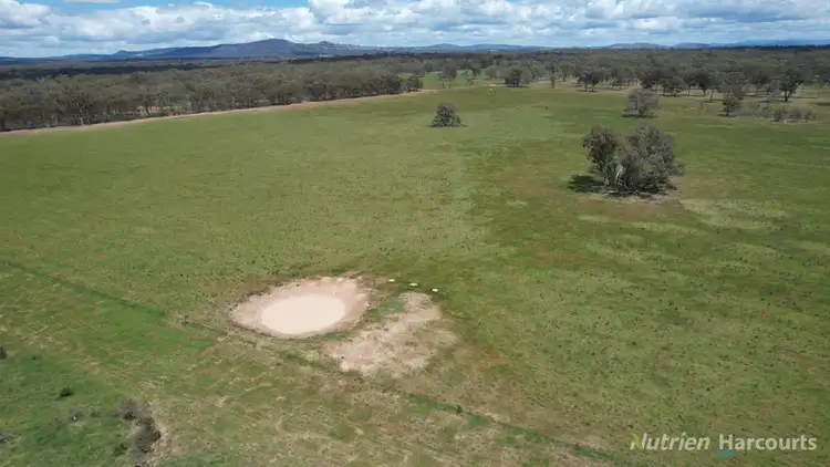 Seventh view of Homely rural property listing, 345 McDonalds Road, Clunes VIC 3370