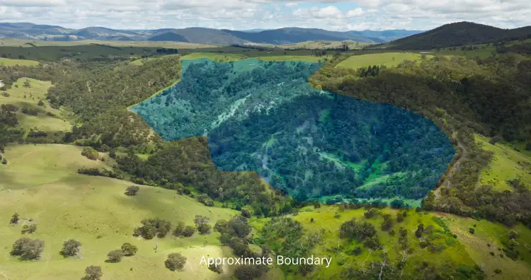 Third view of Homely rural property listing, Lot 3 - 289 Tongio Gap Road, Tongio VIC 3896