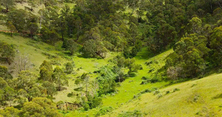 Seventh view of Homely rural property listing, Lot 3 - 289 Tongio Gap Road, Tongio VIC 3896