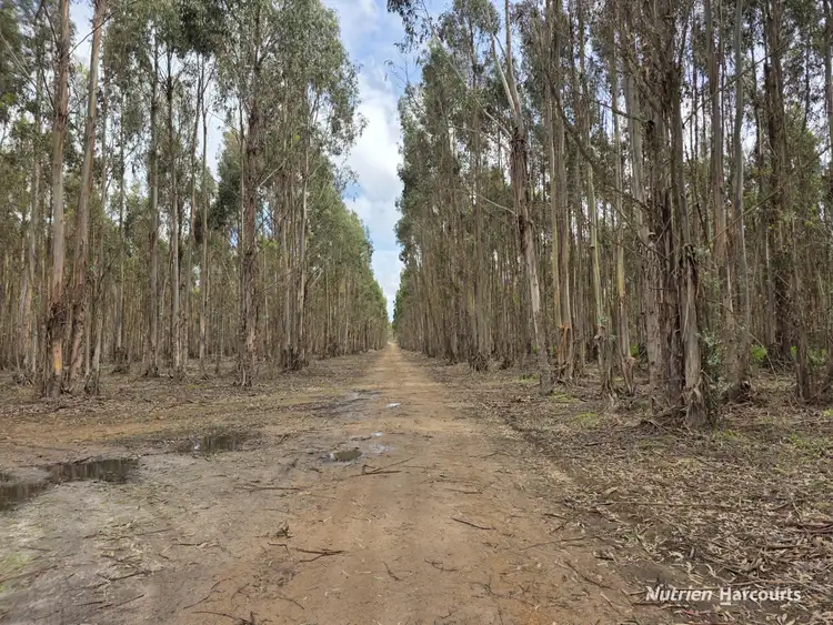 1458 Palmdale Road, Palmdale WA 6328