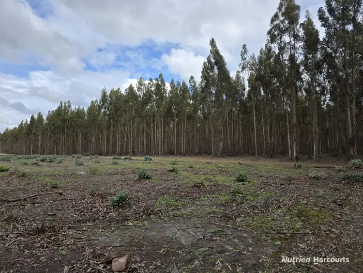 Second view of Homely rural property listing, 1458 Palmdale Road, Palmdale WA 6328