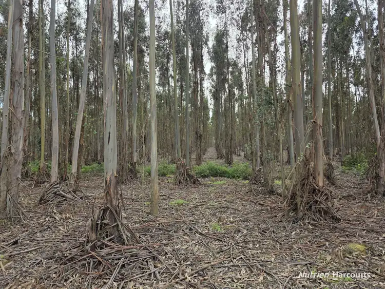 Third view of Homely rural property listing, 1458 Palmdale Road, Palmdale WA 6328