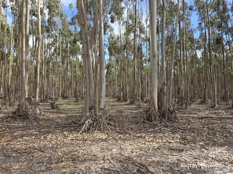 Fifth view of Homely rural property listing, 1458 Palmdale Road, Palmdale WA 6328