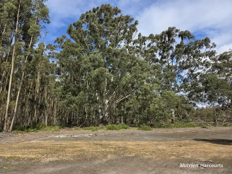 Sixth view of Homely rural property listing, 1458 Palmdale Road, Palmdale WA 6328