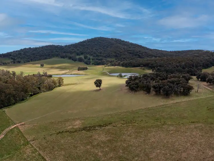 Fifth view of Homely rural property listing, 22 Waters Lane, Carboor VIC 3678