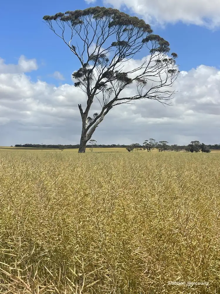 1700 Midlands Road, Moora WA 6510