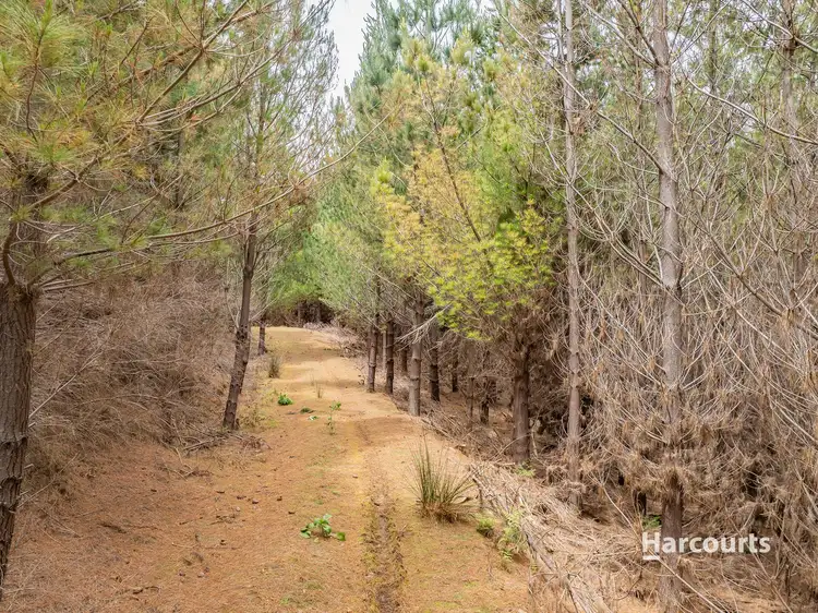 Fifth view of Homely land listing, 89 Sweetmans Road, Yolla TAS 7325