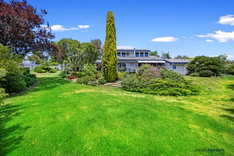 Third view of Homely house listing, 31 Myrtle Street, Alexandra VIC 3714