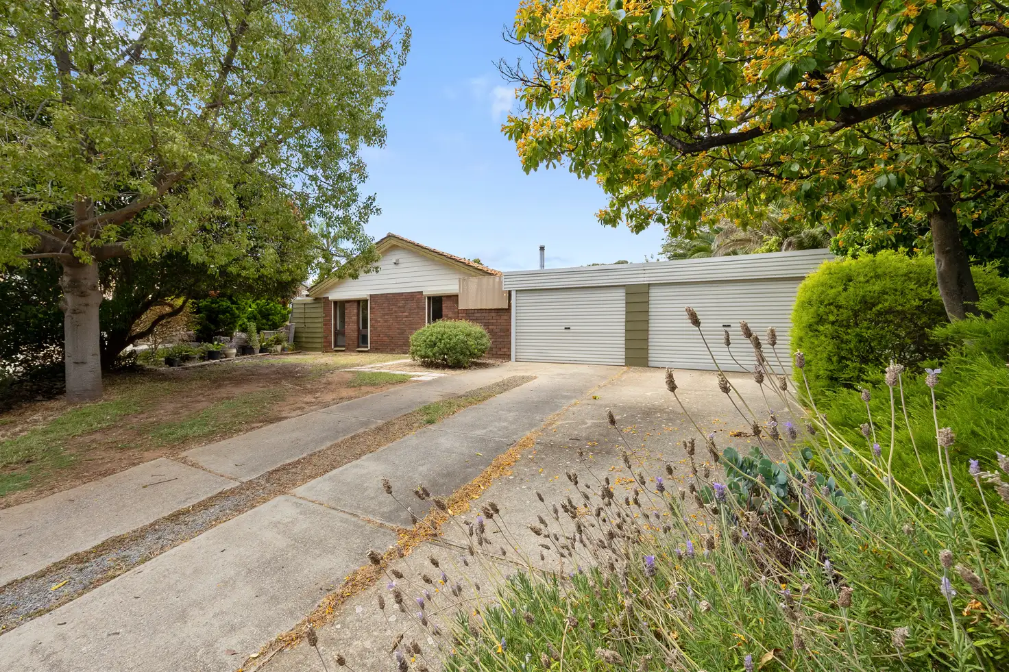 Main view of Homely house listing, 24 Bower Court, Morphett Vale SA 5162