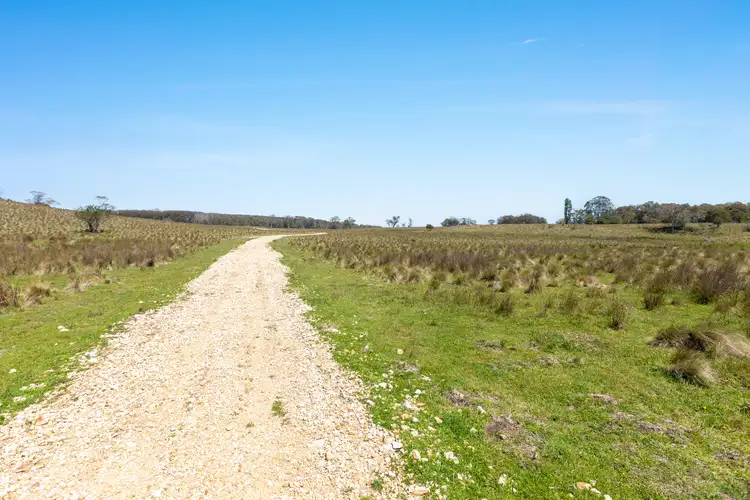 Fifth view of Homely rural property listing, Thornleigh Coolangubra Road, Cathcart NSW 2632