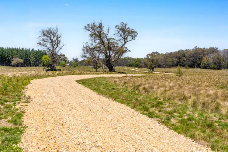Sixth view of Homely rural property listing, Thornleigh Coolangubra Road, Cathcart NSW 2632