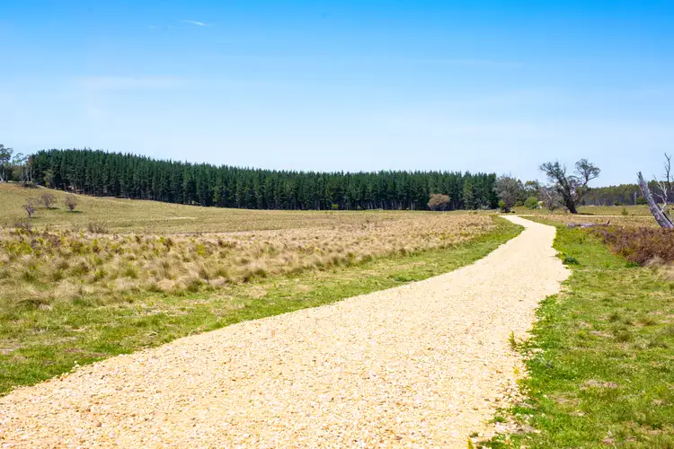 Seventh view of Homely rural property listing, Thornleigh Coolangubra Road, Cathcart NSW 2632