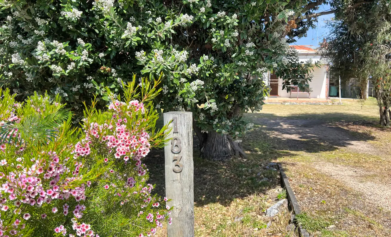 Main view of Homely house listing, 183 Scamander Avenue, Scamander TAS 7215