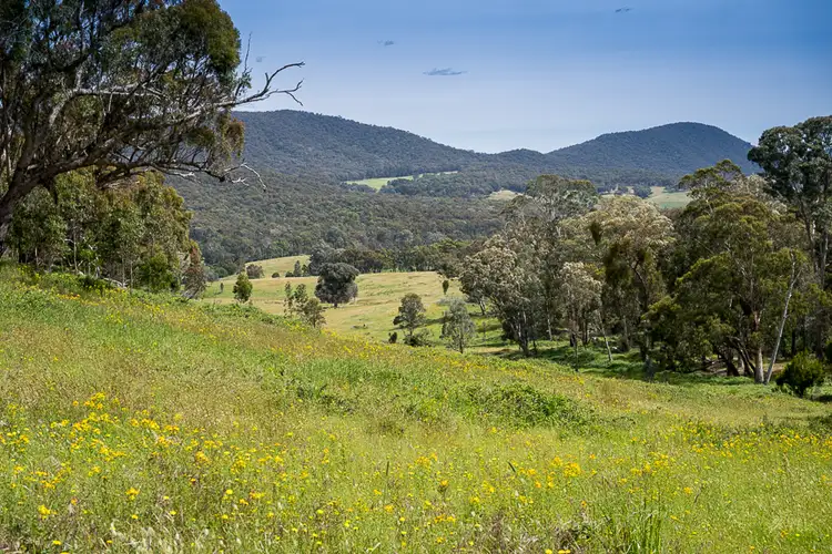 Seventh view of Homely rural property listing, Lots 4 & 8 Tatong-Tolmie Rd, Tatong VIC 3673