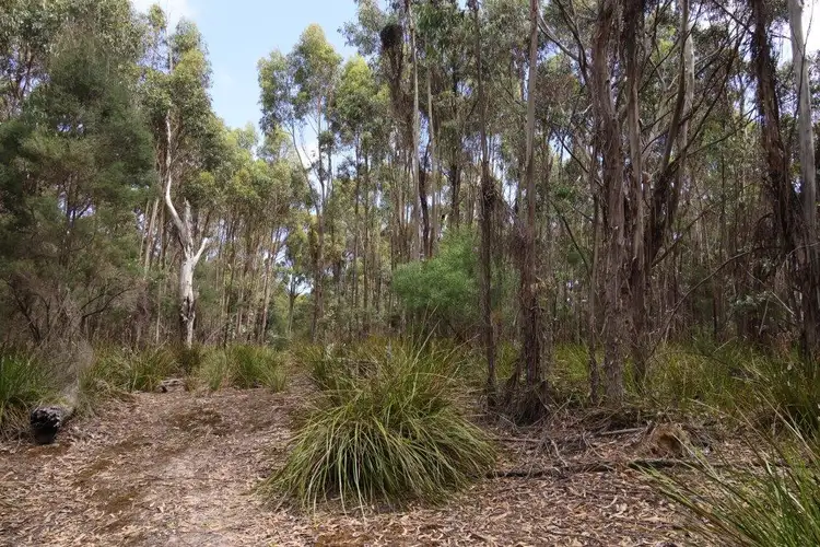 158 Blundstones Road, Whitemark TAS 7255