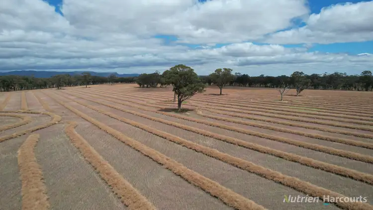 Fourth view of Homely rural property listing, 190 Lake Road, Glenorchy VIC 3385