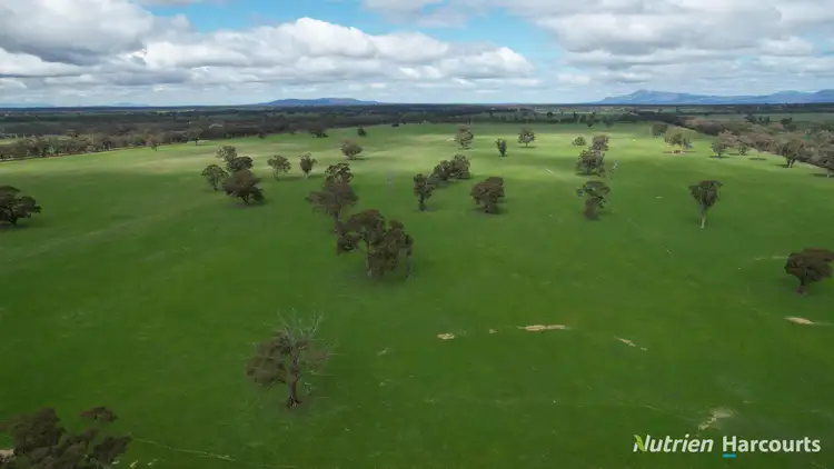 Fifth view of Homely rural property listing, 190 Lake Road, Glenorchy VIC 3385