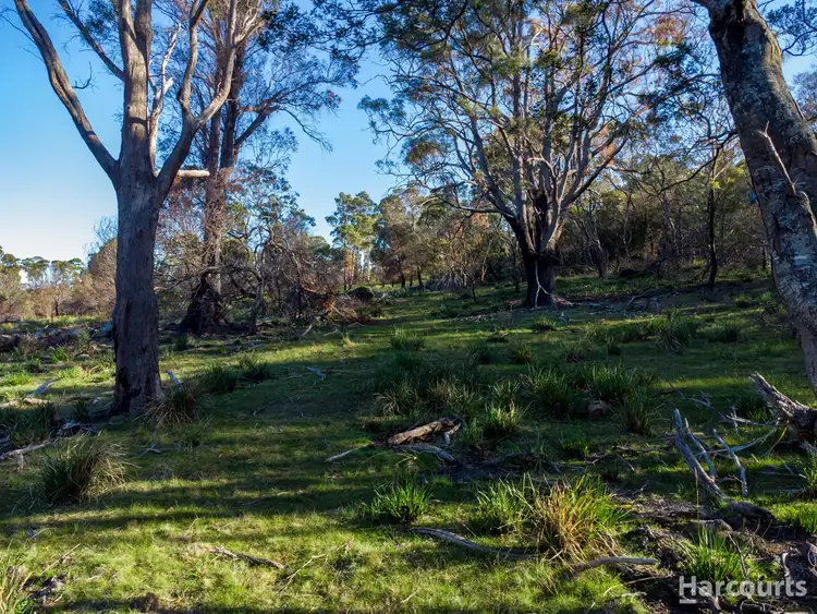 Sixth view of Homely land listing, 2147B East Tamar Highway, Mount Direction TAS 7252