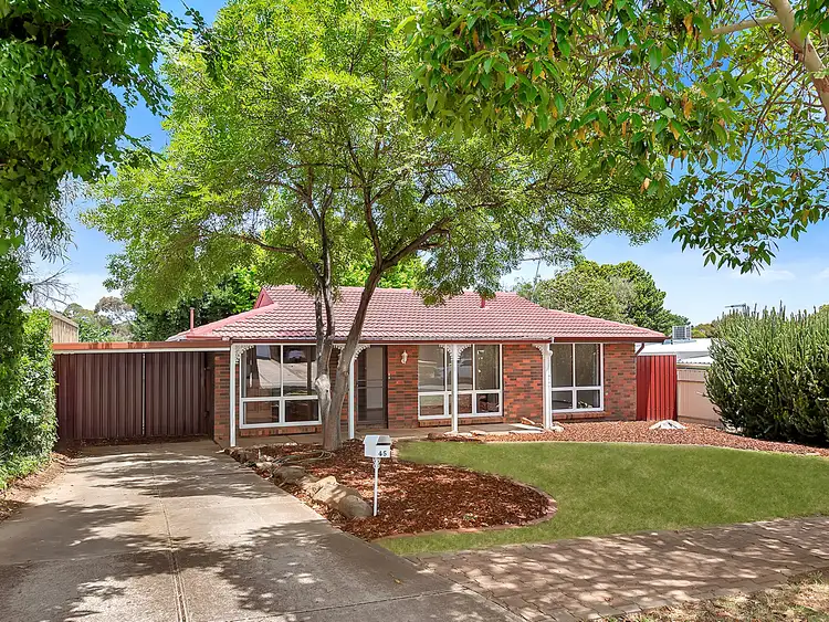 Second view of Homely house listing, 45 De Sassenay Crescent, Modbury Heights SA 5092