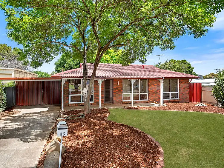 Third view of Homely house listing, 45 De Sassenay Crescent, Modbury Heights SA 5092