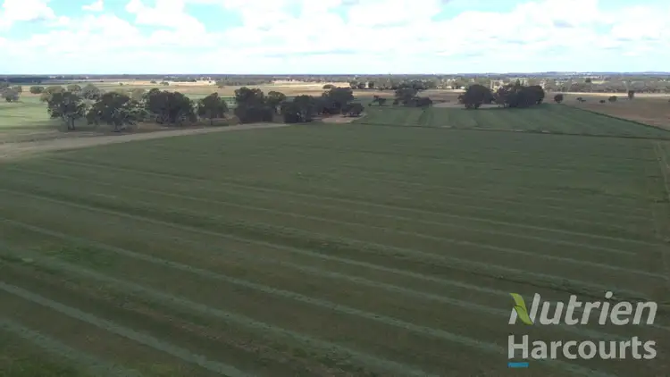 Sixth view of Homely rural property listing, . Echuca Nanneella Road, Nanneella VIC 3561