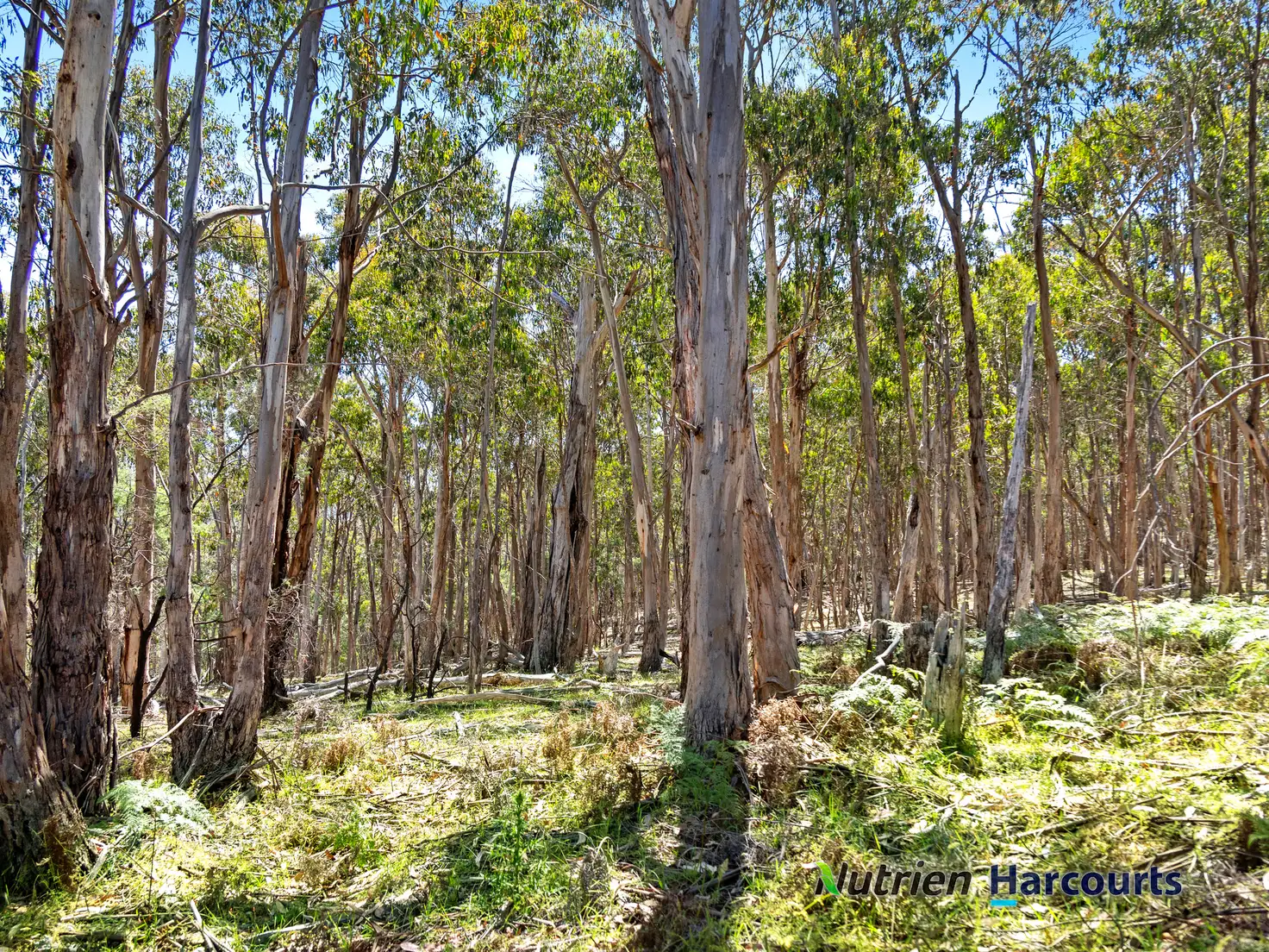 Main view of Homely rural property listing, Address available on request
