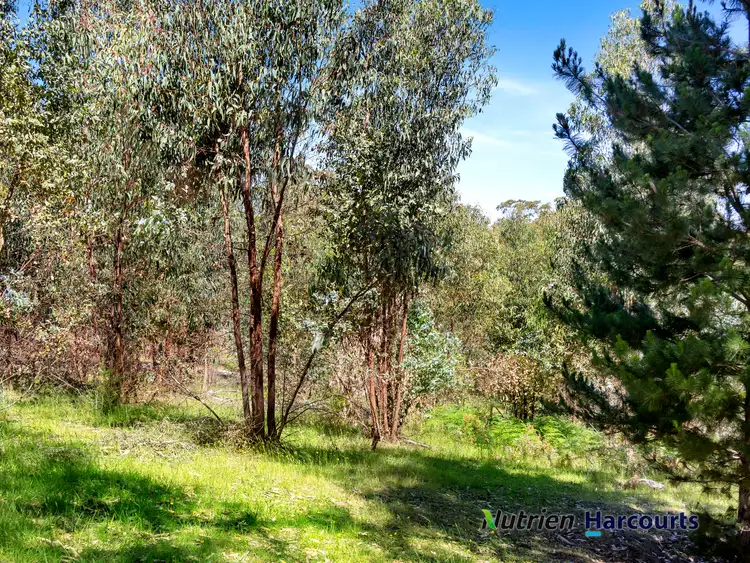 Seventh view of Homely rural property listing, Address available on request