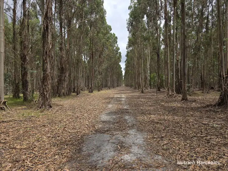 142 Mindijup Road, Palmdale WA 6328