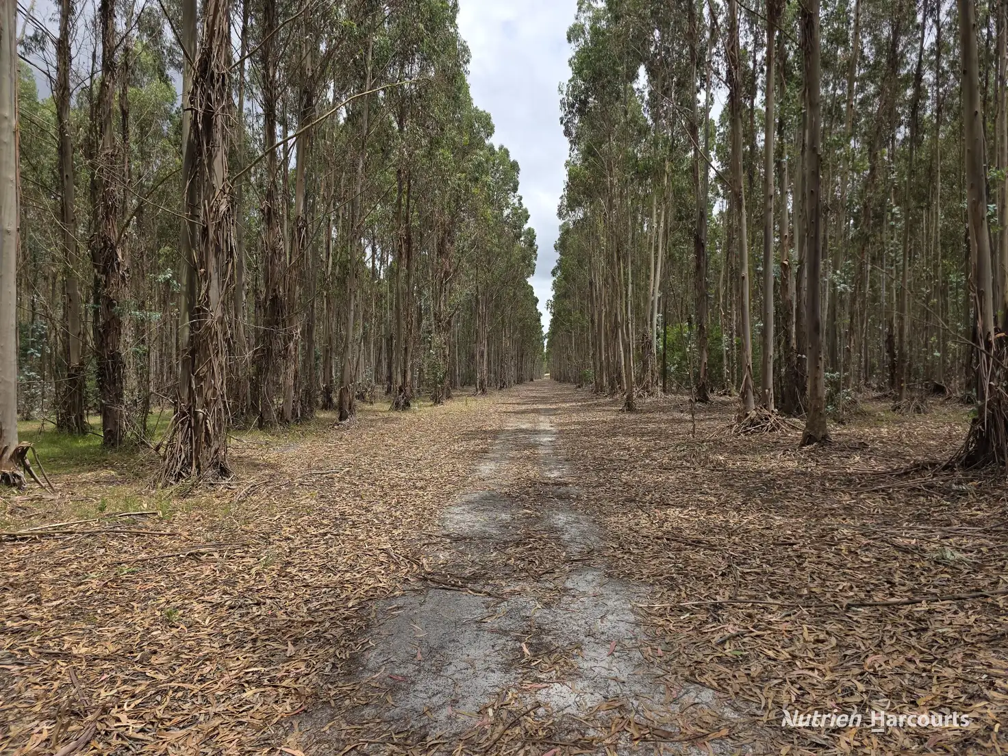 Main view of Homely rural property listing, 142 Mindijup Road, Palmdale WA 6328