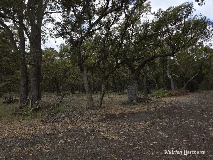 Sixth view of Homely rural property listing, 142 Mindijup Road, Palmdale WA 6328