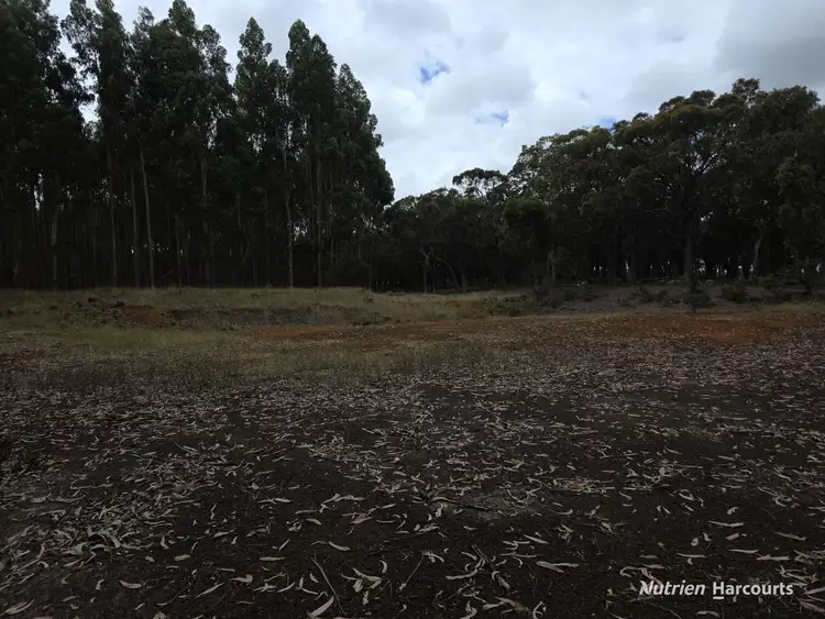 Seventh view of Homely rural property listing, 142 Mindijup Road, Palmdale WA 6328