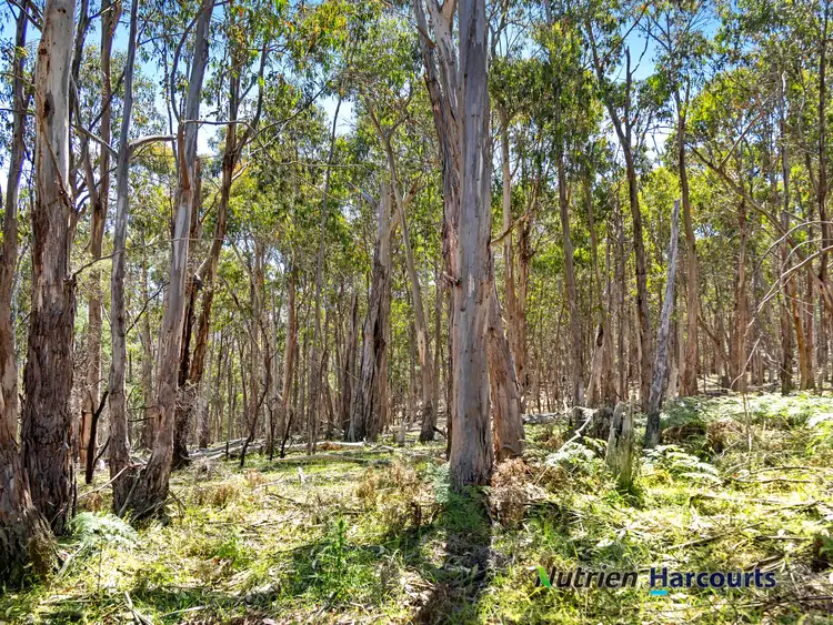 2830 Tehan Road, Kerrisdale /, Yea VIC 3717