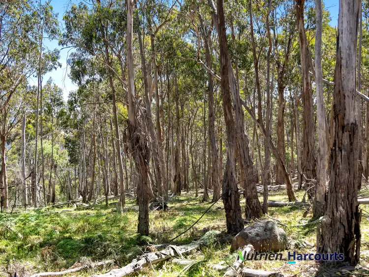 Seventh view of Homely land listing, 2830 Tehan Road, Kerrisdale /, Yea VIC 3717