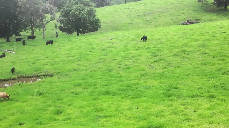 Fourth view of Homely rural property listing, Address available on request