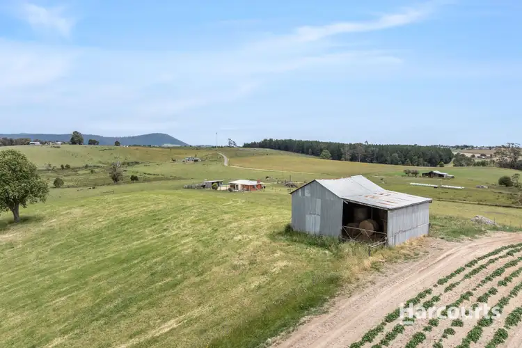 Fifth view of Homely house listing, 114 Austins Road, Scottsdale TAS 7260