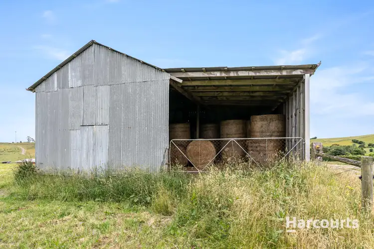 Sixth view of Homely house listing, 114 Austins Road, Scottsdale TAS 7260