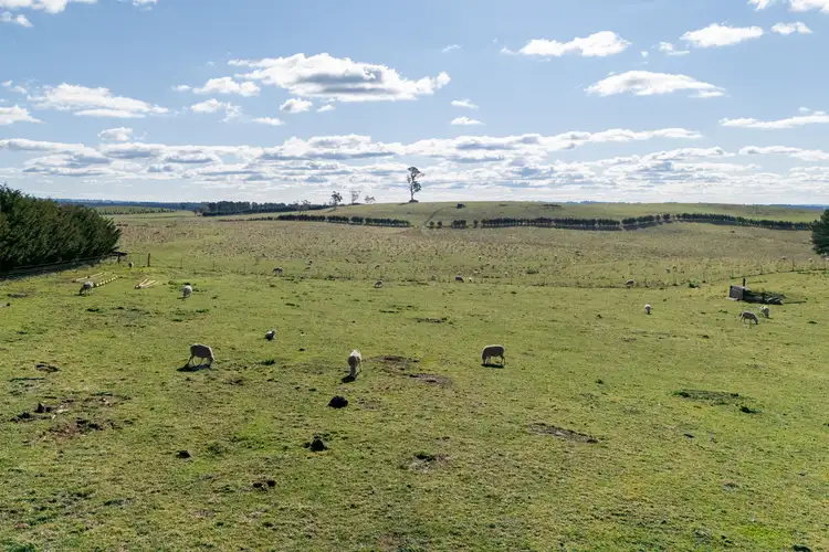 Seventh view of Homely rural property listing, 239 McAlister Road, Laggan NSW 2583