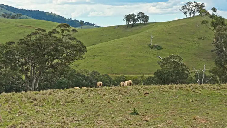 Sixth view of Homely rural property listing, Allot 15/5185 Great Alpine Road, Ensay VIC 3895