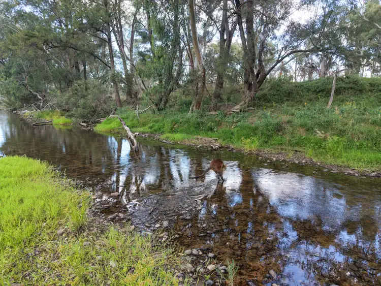 Seventh view of Homely rural property listing, Lot 21 Gibraltar Road, Tenterfield NSW 2372
