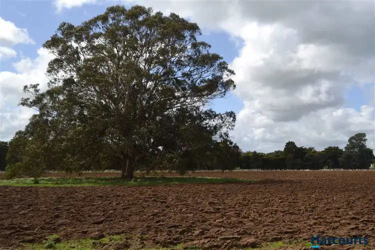 Third view of Homely rural property listing, Lot 2 Dingley Dell Road, Thorpdale VIC 3835