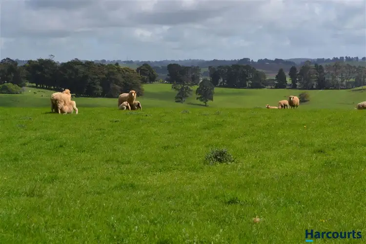 Seventh view of Homely rural property listing, Lot 2 Dingley Dell Road, Thorpdale VIC 3835