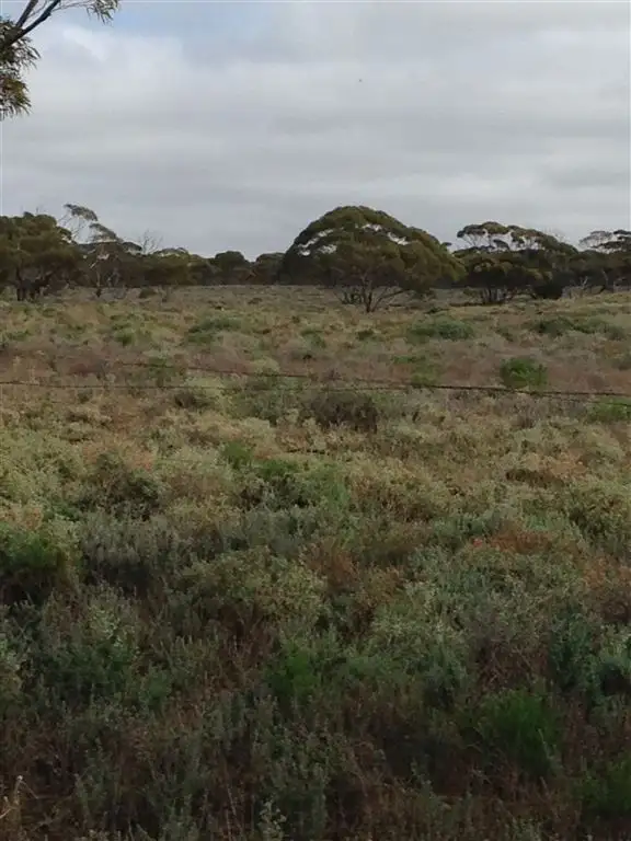 Lot 91 Foote Road, Eudunda SA 5374
