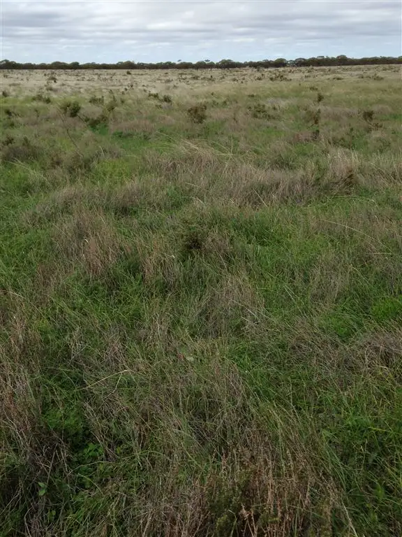 Fifth view of Homely rural property listing, Lot 91 Foote Road, Eudunda SA 5374