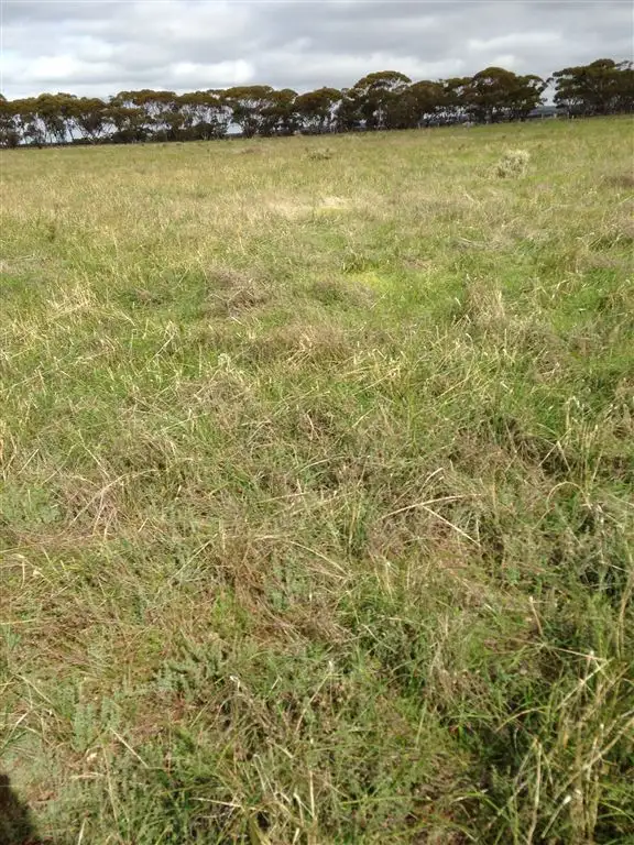 Sixth view of Homely rural property listing, Lot 91 Foote Road, Eudunda SA 5374