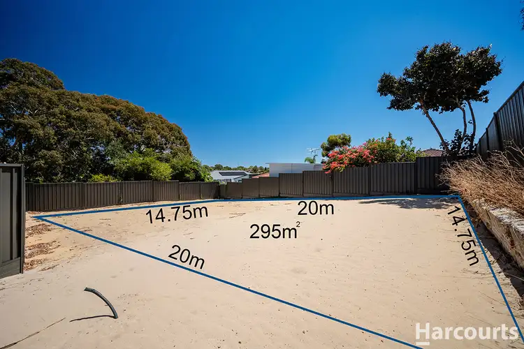 100 Conidae Drive